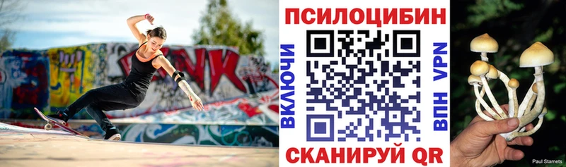 Псилоцибиновые грибы прущие грибы  купить наркотики цена  Льгов 